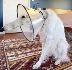 138609 B