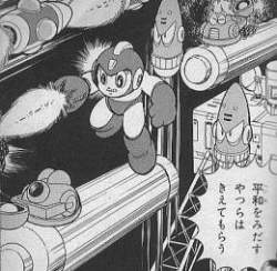 24248 B