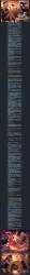 4493537 B