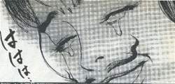 25733 B