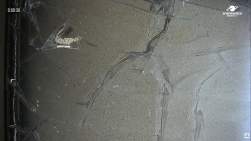 555976 B