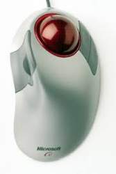 5593 B
