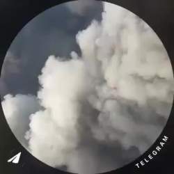 1022768 B