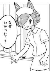 58496 B