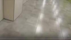 8027321 B