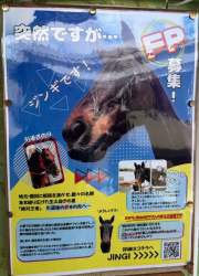 296306 B