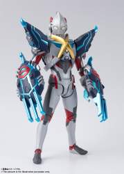 243663 B