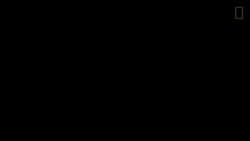 5677731 B