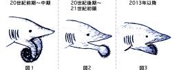 237271 B