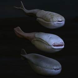 143827 B