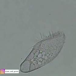 2378554 B