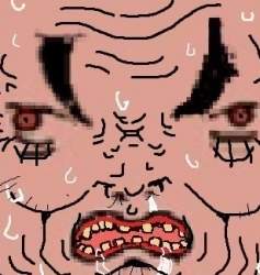 48219 B