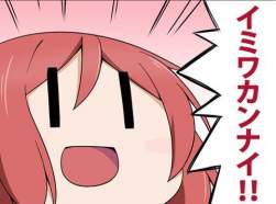 24453 B