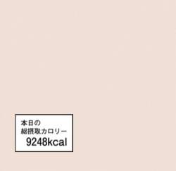 16503 B