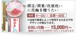 55553 B