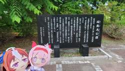 2683419 B