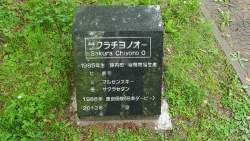 3709968 B