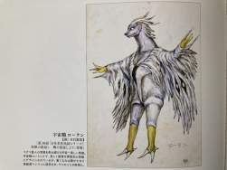 56094 B