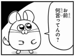 79294 B
