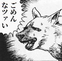 53213 B