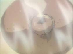 1136691 B