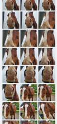 758838 B