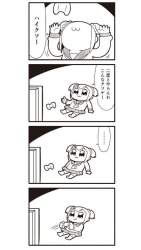 47404 B