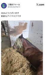 1635399 B