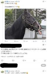 98773 B
