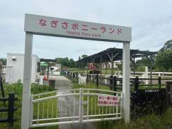493419 B