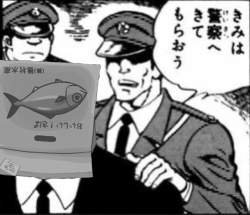 264770 B