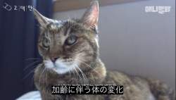 75643 B