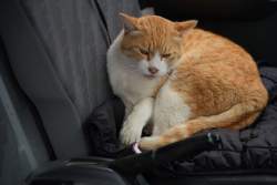 1546589 B