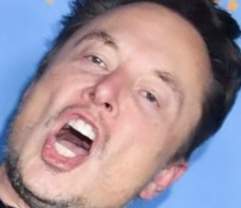 16798 B