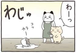 45543 B
