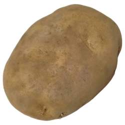 23481 B