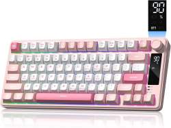 122643 B