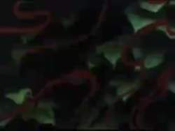 8039400 B