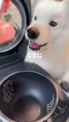 4745526 B