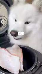 4491351 B