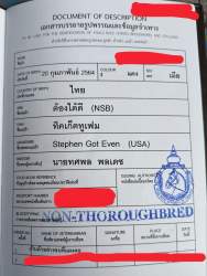 406927 B