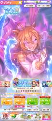 2952338 B