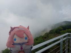 2648834 B