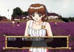 16843 B