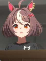 50338 B