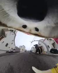 1385842 B