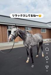 1683399 B