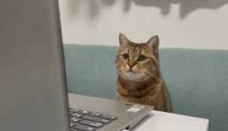 10714 B