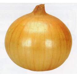17802 B