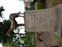 2670817 B